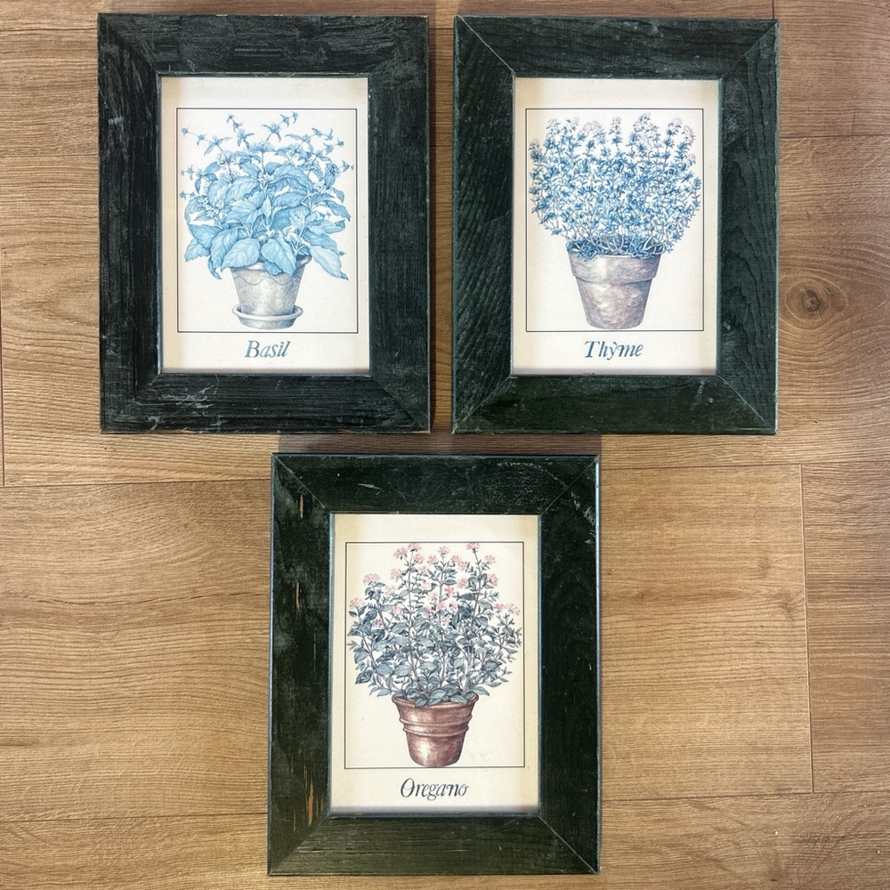 Unbranded Set of 3 Black Framed Herb‎ Prints (Basil, Thyme, Oregano)